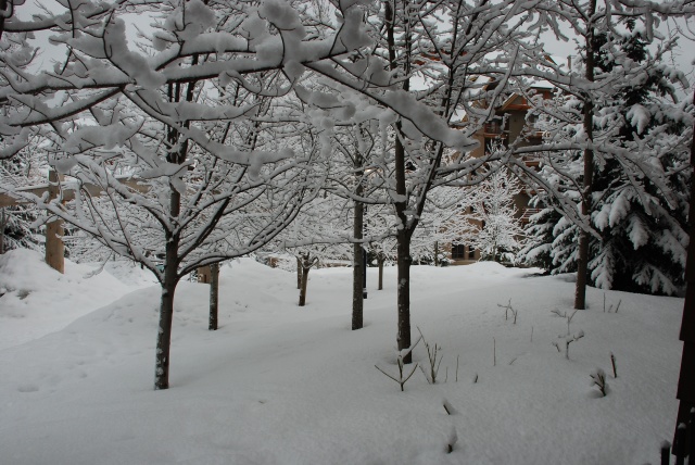 2009/03(Mar)/WHISTLER WITH MUSSATTOS/640x480_2009-03-WHISTLER WITH MUSSATTOS 11.jpg